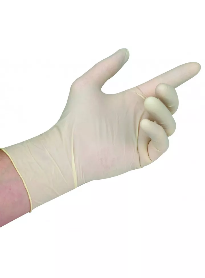 Gloves - Latex - Powder Free (100)